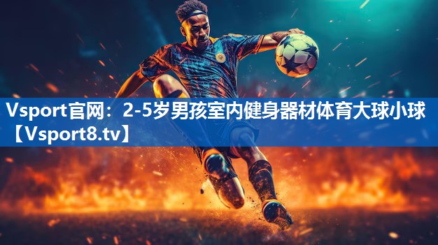 Vsport官网：2-5岁男孩室内健身器材体育大球小球