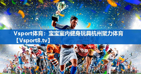 Vsport体育：宝宝室内健身玩具杭州聚力体育