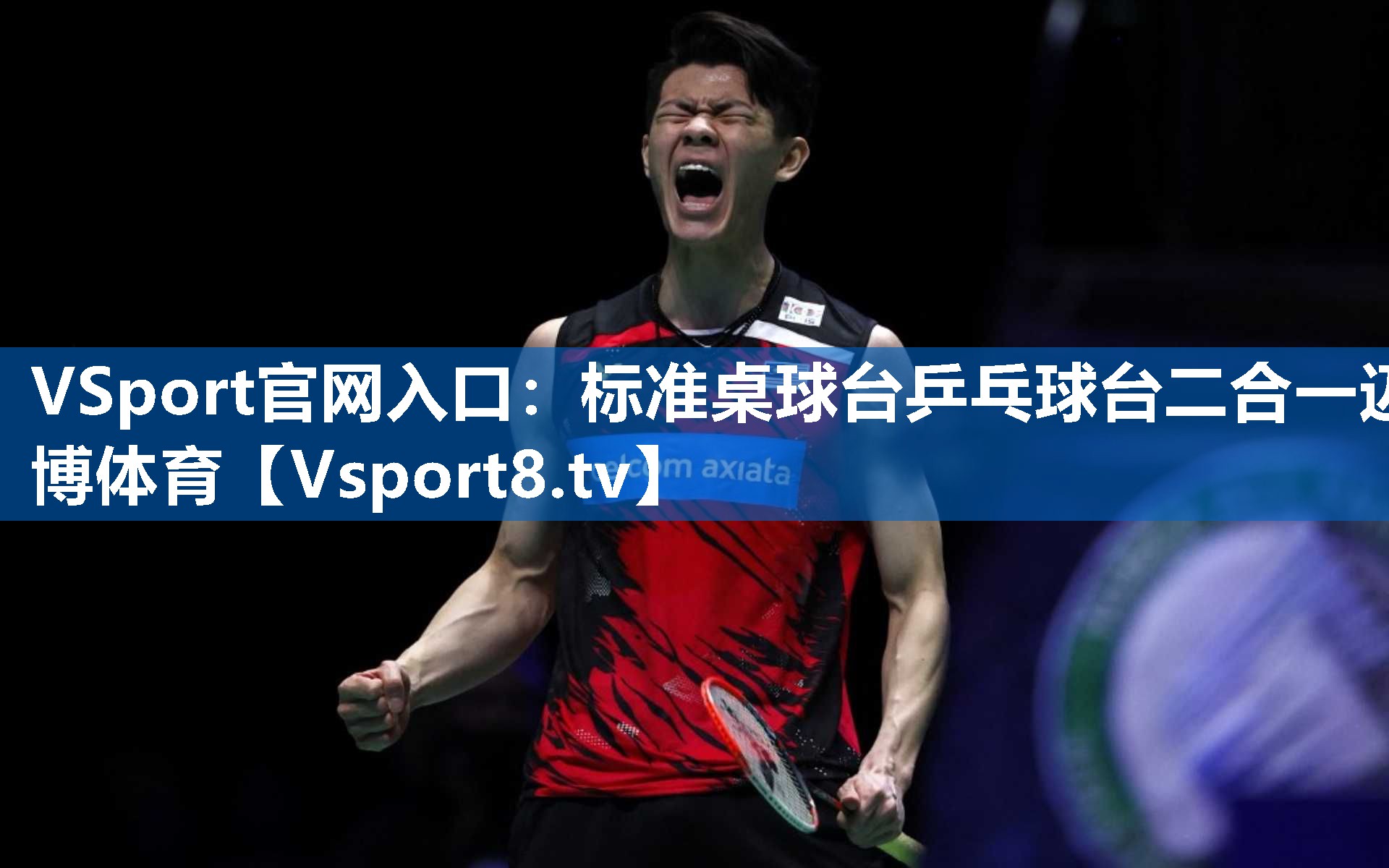 VSport官网入口：标准桌球台乒乓球台二合一迈博体育