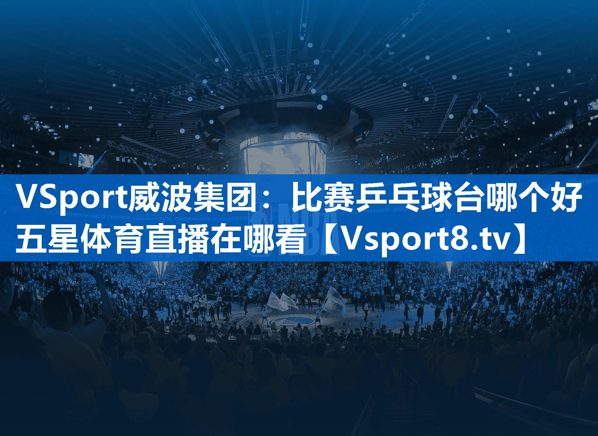 VSport威波集团：比赛乒乓球台哪个好五星体育直播在哪看