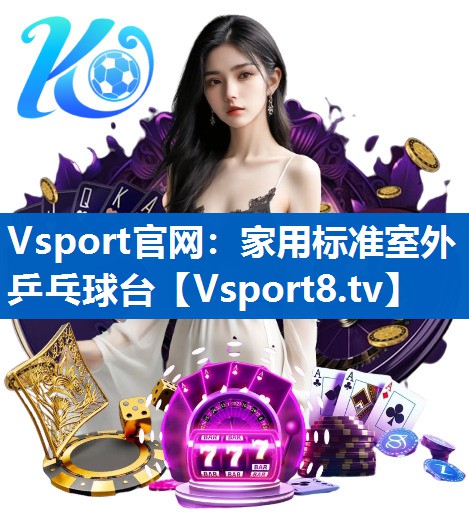 <strong>Vsport官网：家用标准室外乒乓球台</strong>