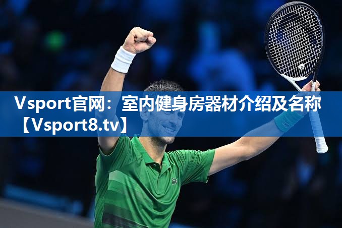 <strong>Vsport官网：室内健身房器材介绍及名称</strong>