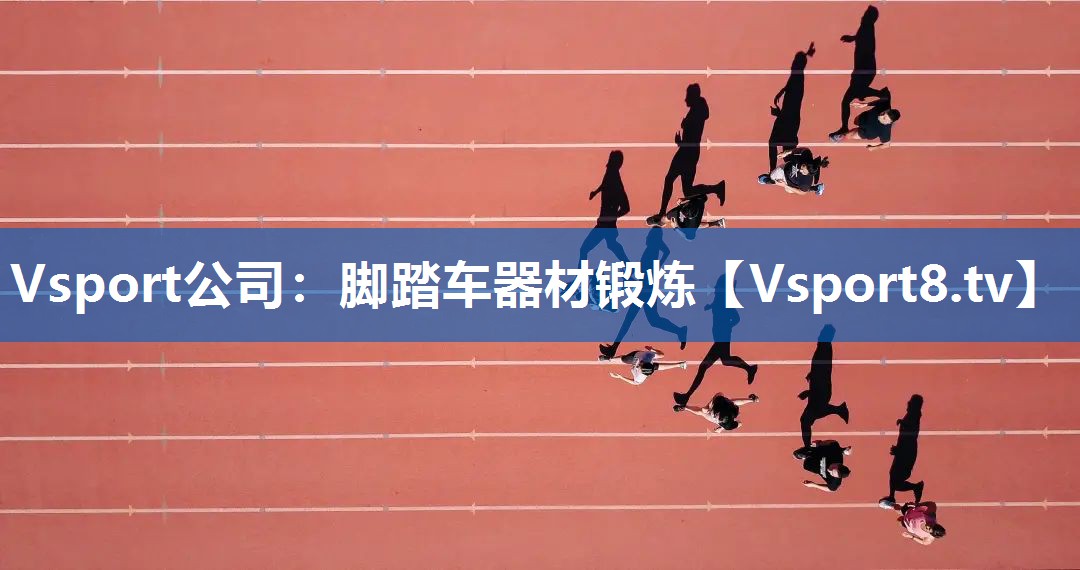 <strong>Vsport公司：脚踏车器材锻炼</strong>