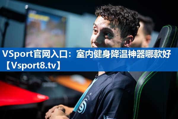 VSport官网入口：室内健身降温神器哪款好